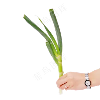 一颗大葱 一颗大葱