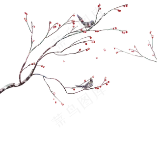 冬季雪景梅花树小鸟