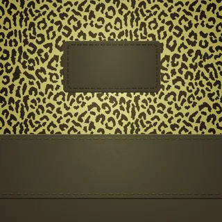 豹纹横幅banner。背景可以用作无缝图案。