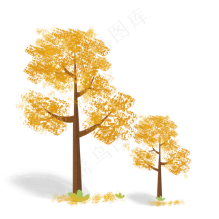 黄色树叶秋天枫树