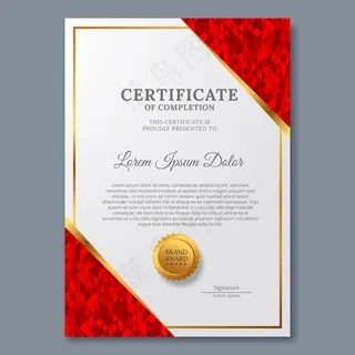 豪华现代的证书模板