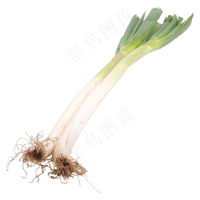 青菜大葱食物元素