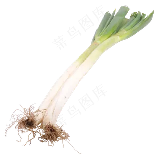 青菜大葱食物元素