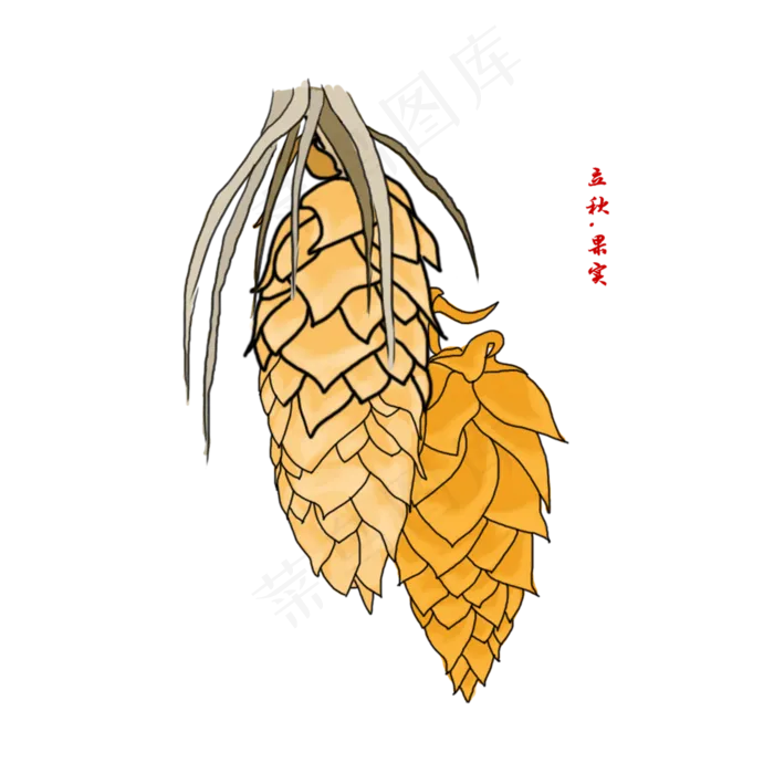 立秋果实商用元素(886X886(DPI:150))psd模版下载
