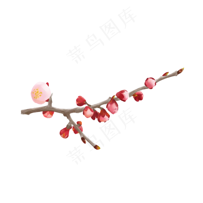 手绘开花枝条素材(2000X2000(DPI:300))psd模版下载