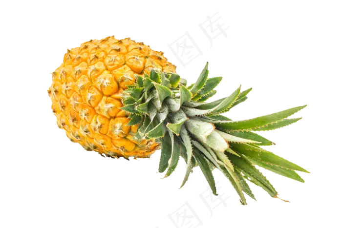 营养菠萝装饰(2048X2048(DPI:132))
