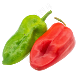 有机蔬菜辣椒