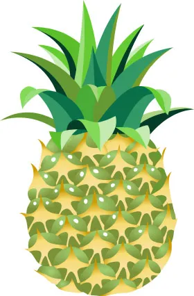 菠萝 凤梨 水果psd模版下载