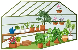 温室内有许多植物的开放视图