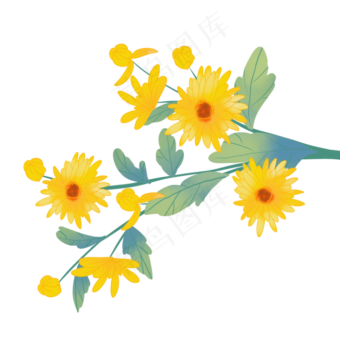 重阳节黄色菊花(2000X2000(DPI:300))psd模版下载