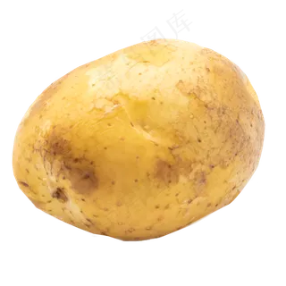 黄色新鲜土豆