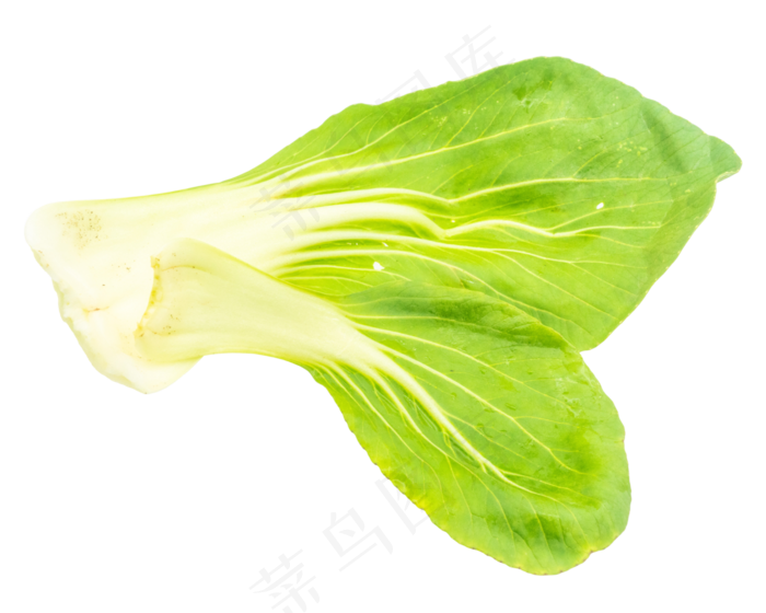 一颗油菜蔬菜(3000X3000(DPI:300))