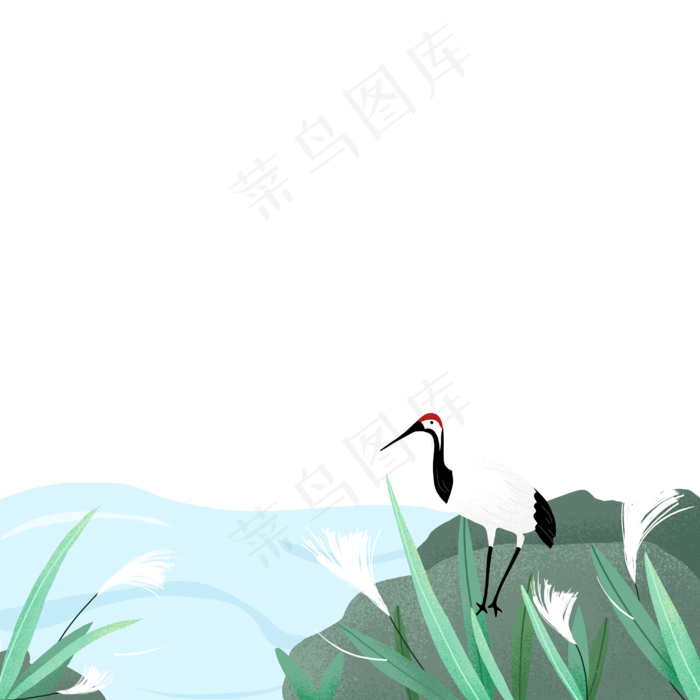 动物白露水禽(3000X3000(DPI:300))psd模版下载