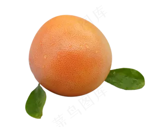 椭圆水果橙子