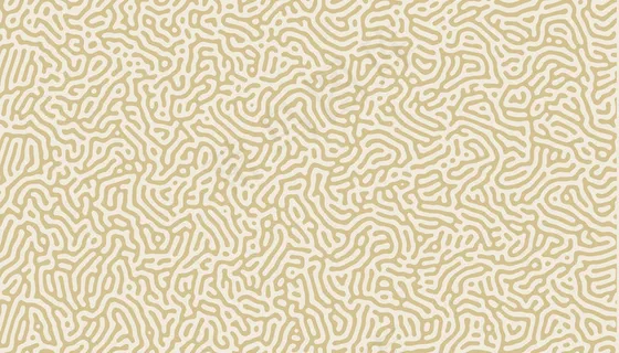 天然有机线条图案背景