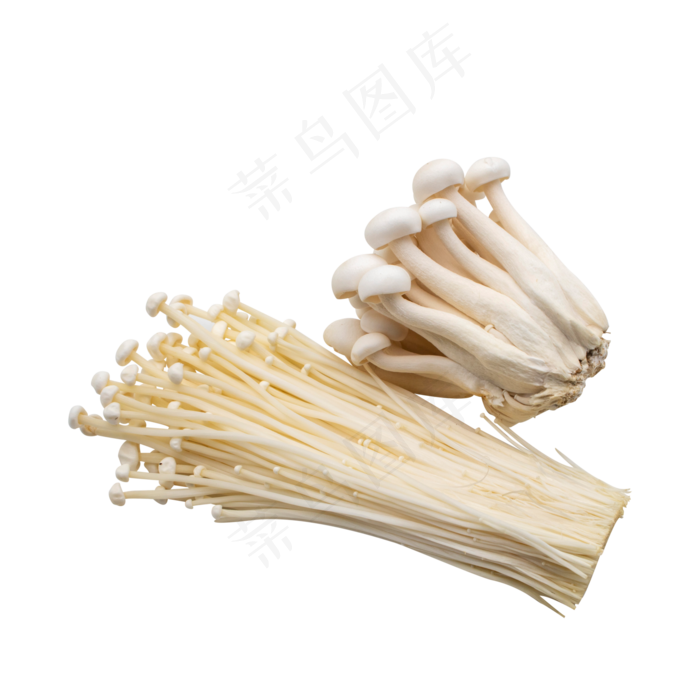 白色蔬菜金针菇(5000*5000px 300 dpi )
