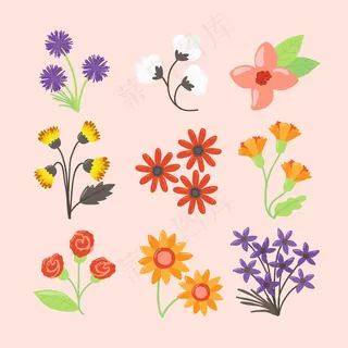粉红色背景上孤立的手绘春花系列 粉红色背景上孤立的手绘春花系列