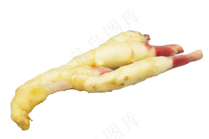 一块生姜蔬菜(3000*2000px 300 dpi )
