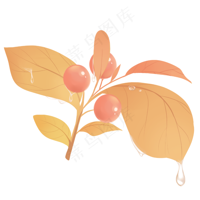 秋分露水卡通形象插画