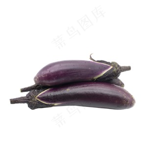 健康新鲜茄子