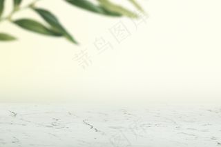 有叶子和白色大理石地板产品背景的简单的墙壁