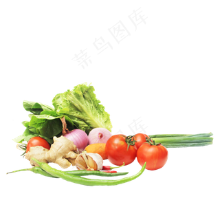 生菜洋葱大葱番茄胡萝卜姜辣椒