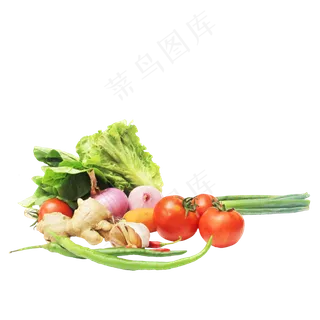 生菜洋葱大葱番茄胡萝卜姜辣椒