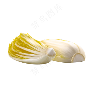 切开白色大白菜