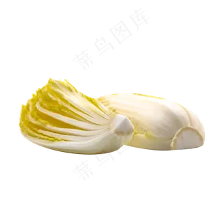切开白色大白菜