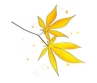 立秋手绘金色枫叶