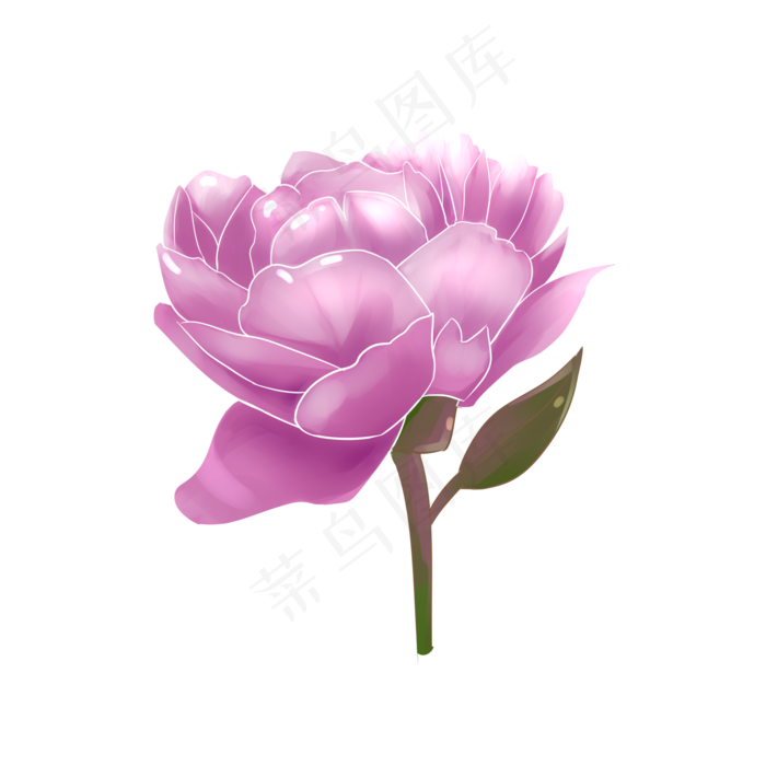 中秋节紫色卡通小清新牡丹花(2000X2000(DPI:299))psd模版下载