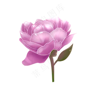 中秋节紫色卡通小清新牡丹花