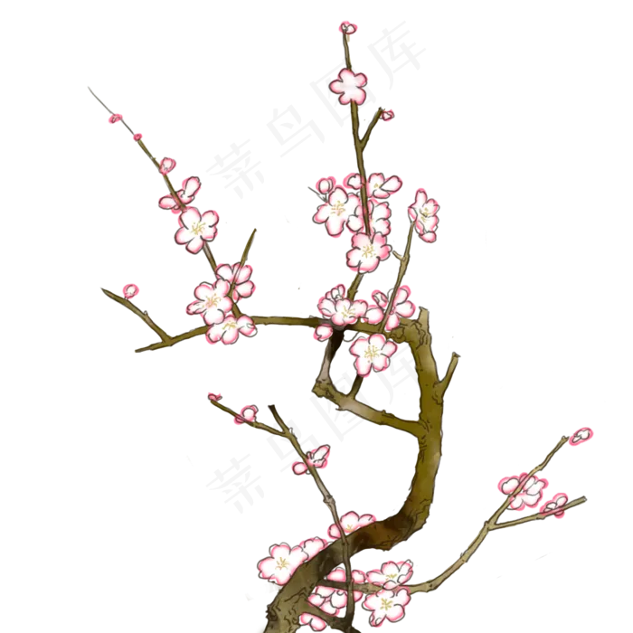 梅花枝干高清手绘免扣图(2000X2000(DPI:300))psd模版下载