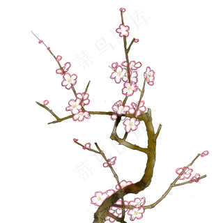 梅花枝干高清手绘免扣图