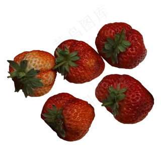 水果大草莓