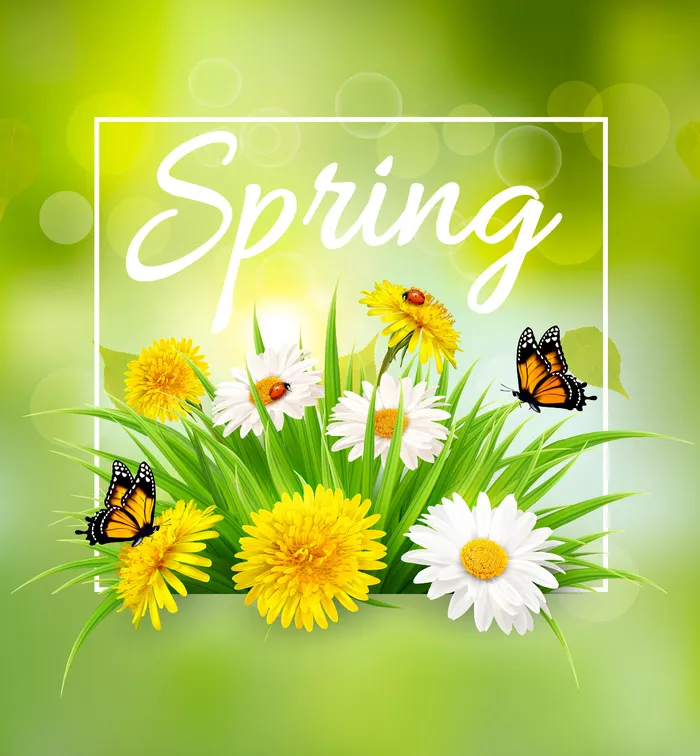 自然春天背景与草、 花和蝴蝶。向量。eps,ai矢量模版下载