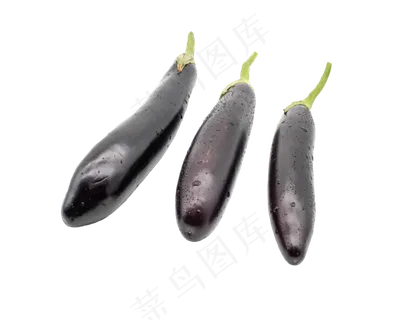长条茄子食材 长条茄子食材