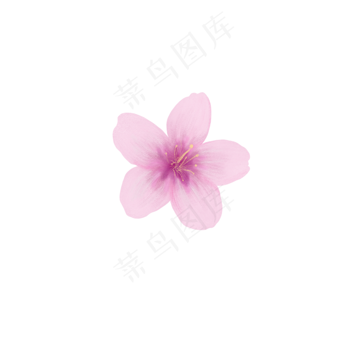 粉色花瓣