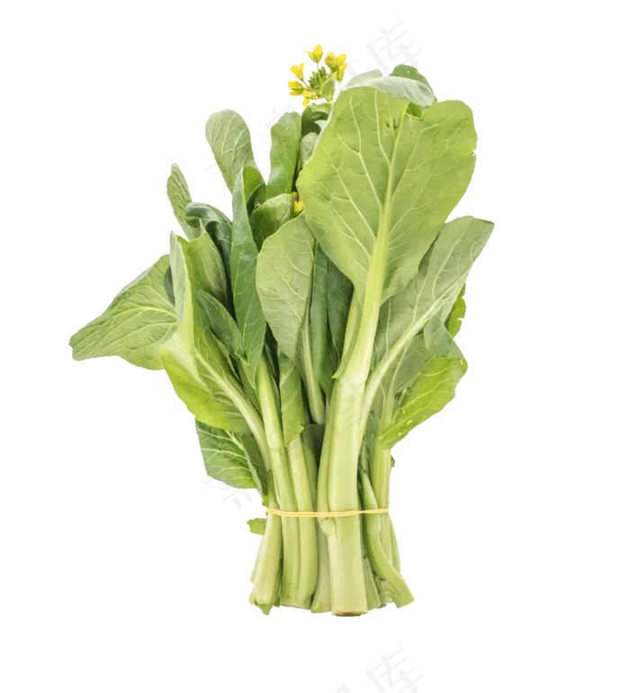 新鲜蔬菜绿叶(2500*2751px 300 dpi )