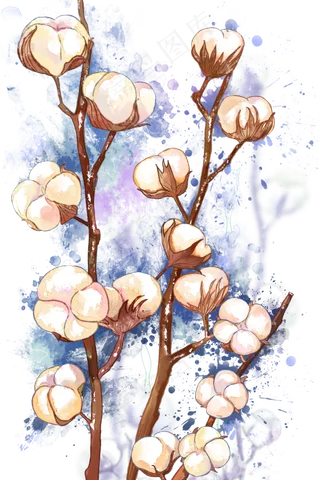 寒露节气之棉花风景治愈系水彩