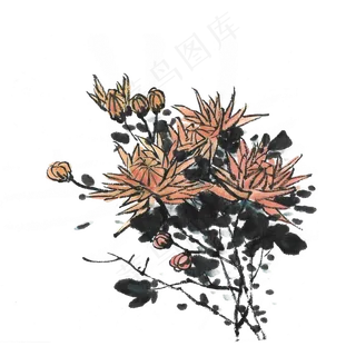 重阳节登高菊花