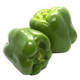 蔬菜菌菇蘑菇 蔬菜菌菇蘑菇