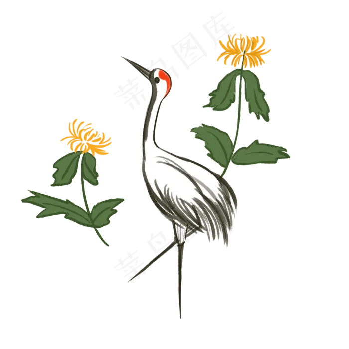 重阳节菊花元素(2000X2000(DPI:300))psd模版下载