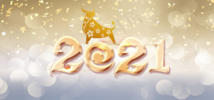 2021牛