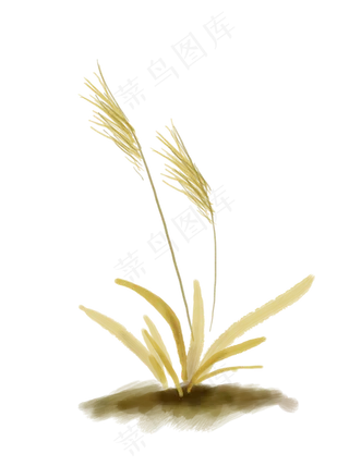 中国水墨秋天芦苇