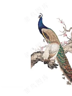国画凤凰中国风高清免扣素材