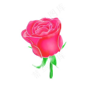 七夕情人节玫瑰花