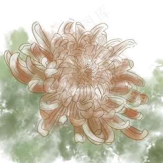 重阳佳节敬老赏菊