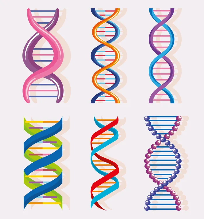 六个DNA分子eps,ai矢量模版下载