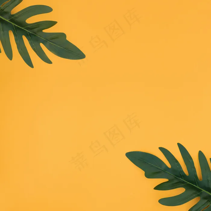 黄色背景的热带棕榈叶。夏季概念。